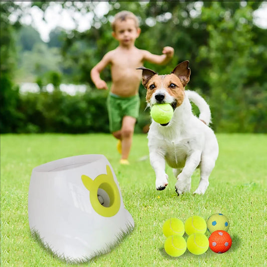 PetFetch Auto Launcher